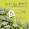 SEN CHA Naturals Green Tea Mints, Sugar-Free Breath Mints, Made
