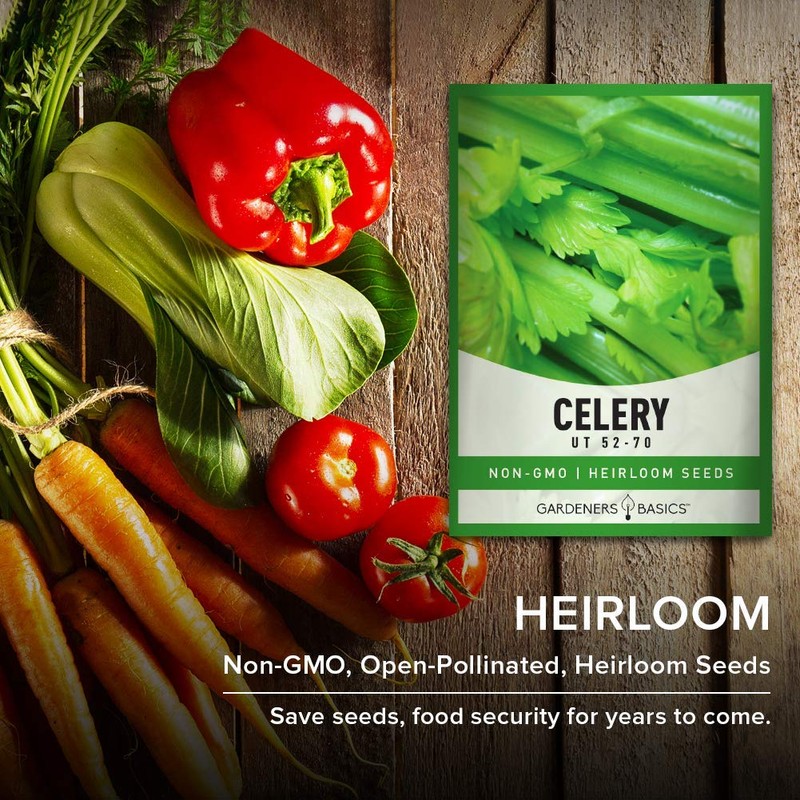 Gardeners Basics, Celery Seeds for Planting - UT 52-70 Variety