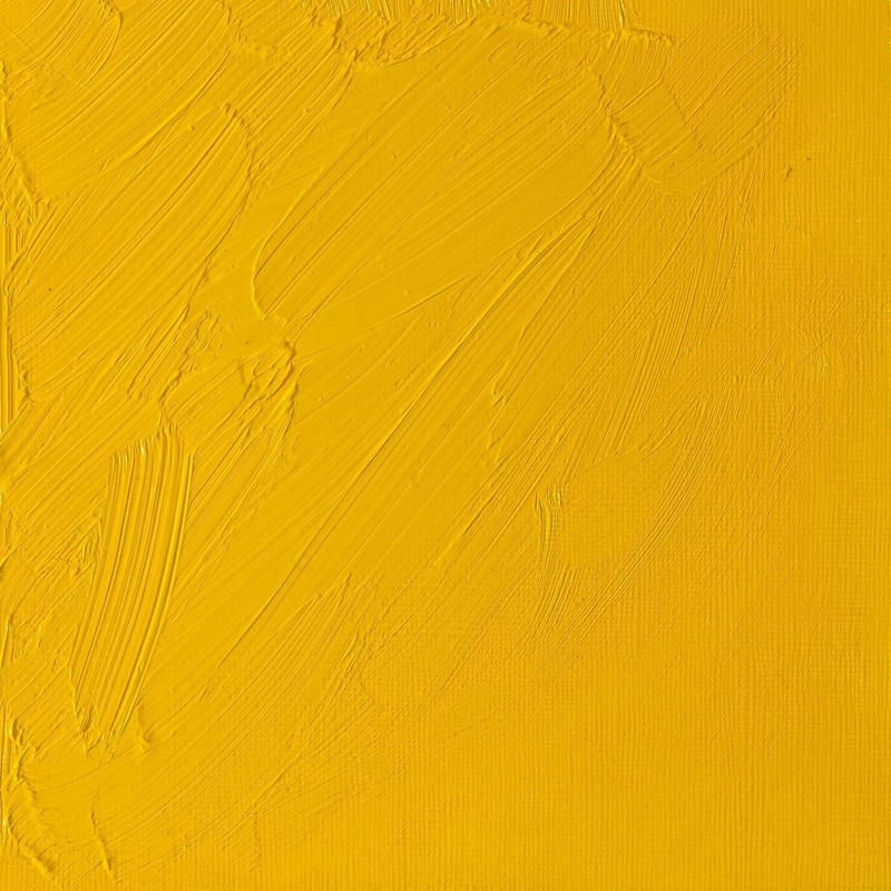 Winsor & Newton Artists' Pintura de Óleo, Amarillo (Cadmium Yellow
