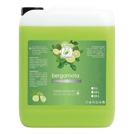 Shampoo De Bergamota Natural 5 Litros
