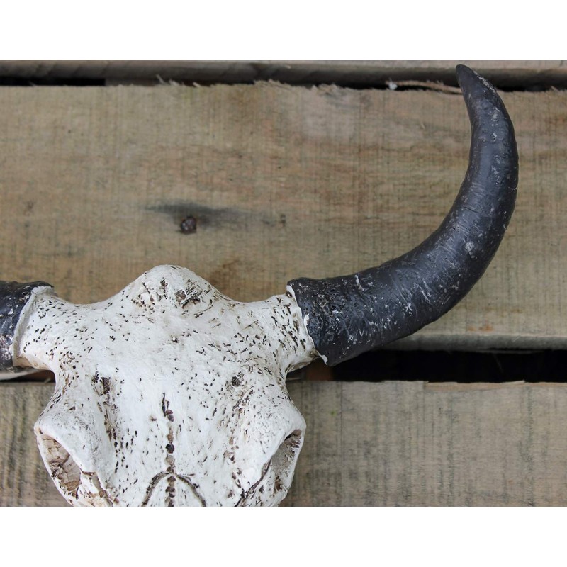 Best Value Here Wall Mounted Silver Stag Head Deer Large