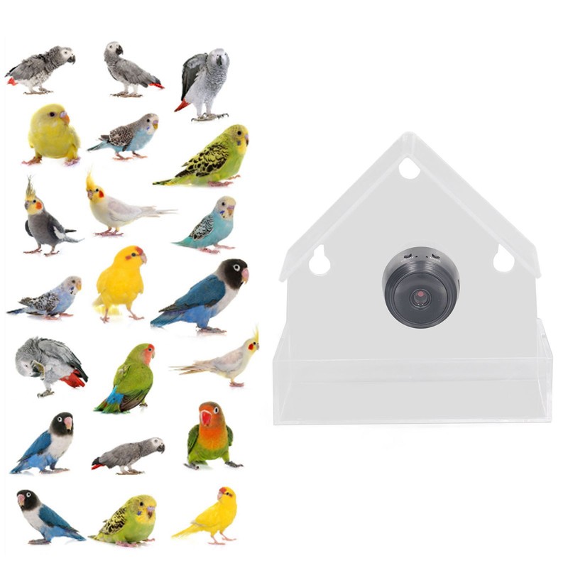 Camera Smart Bird Feeder 720HD Remote Connection Night Vision Clear