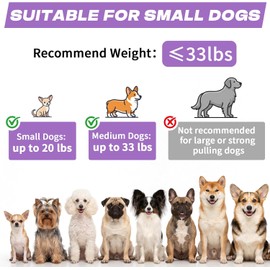 Correa retráctil para Perros con Linterna Recargable por USB para Paseos nocturnos, Correa telescópica automática de 4,8 m para Perros pequeños y medianos, Color Morado