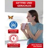 Aeroxon Indoor Fly Trap - 12 x Fly Catchers for