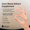 Lions Mane Mushroom 2000mg - 180 High Strength Vegan Tablets