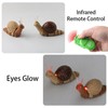 Tsiodot RC Snail Toy Realistic IR Remote Control Insect Car