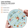JOINRUN Embroidery Starter Kit for Beginner DIY: 3 Sets Adults