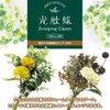 Photocatalyst Interior Green Classical Bouquet CLB-166719