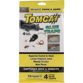 Tomcat Glue Traps for Mice and Insects