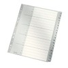 Leitz Index for A4, Cardboard Cover Sheet and 20 Plastic