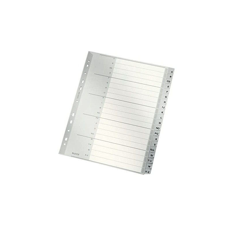 Leitz Index for A4, Cardboard Cover Sheet and 20 Plastic
