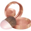 Bourjois Little Round Pot Blusher 3 Copper Brown, 2.5g