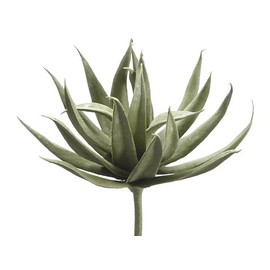 Arcadia Silk Plantation 8" Mini Agave Green (Pack of 12)