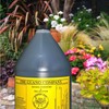 Hydrofarm GUBS128C Super Bat Budswel Organic Hydroponic Liquid Nutrient Solution