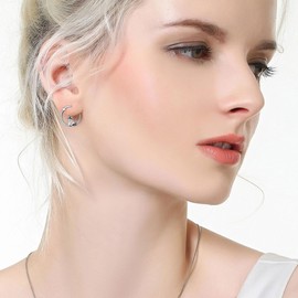 Raccoon Earrings 925 Sterling Silver Raccoon Hoop Earrings Animals Jewelry Present for Women, middle, Sterling Silver, No Gemstone