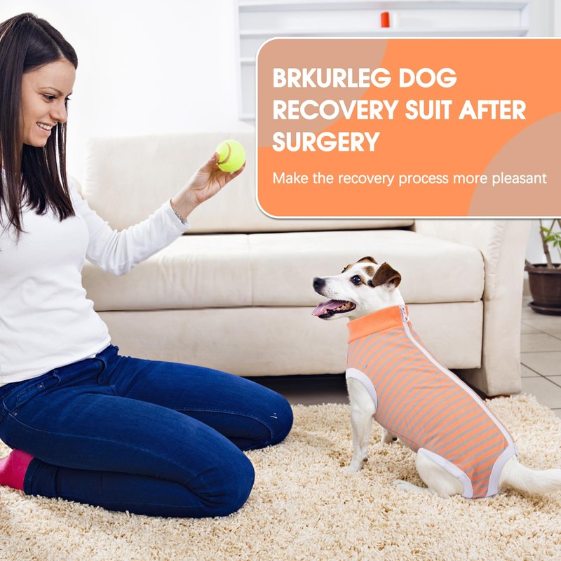 BRKURLEG Recovery Suit for Dogs Cats After Surgery Abdominal Wound