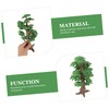 SEWACC Simulation Large Tree Tree Model Plastic Micro Landscape Green