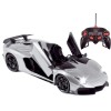 RC Sports Car 1:14 Scale Realistic Design, Slide-Up/Sciss
