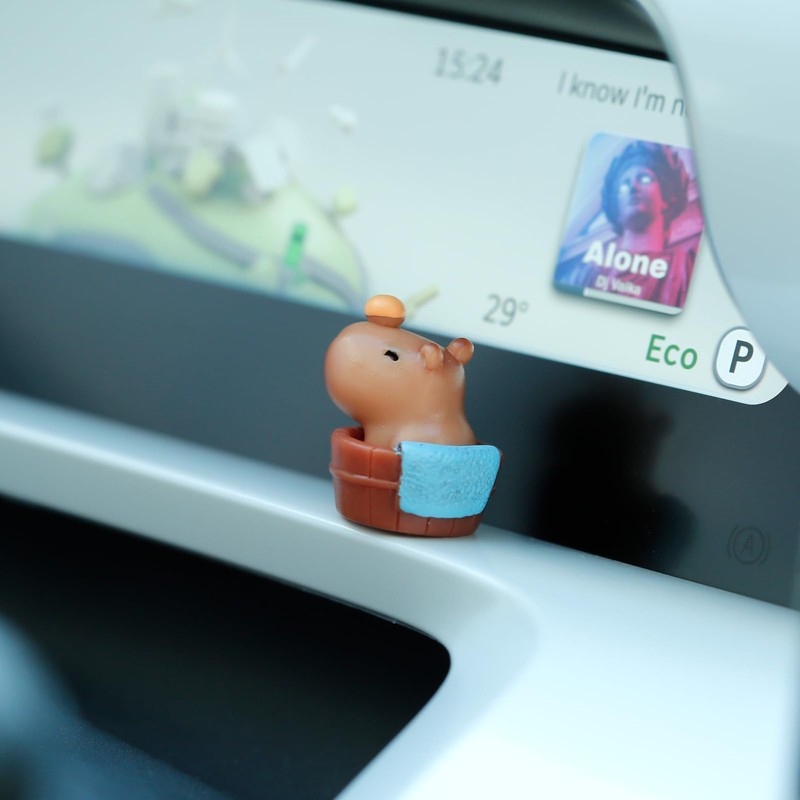 YGMONER 9 Pcs Mini Capybara Car Dashboard Figurine Decoration Cute