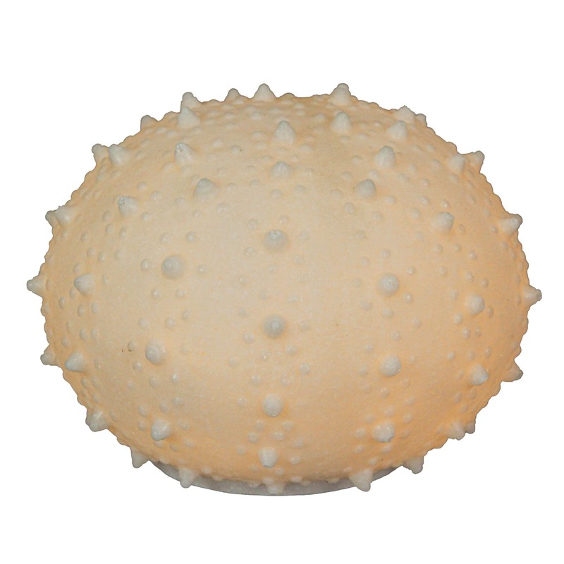 Things2Die4 7 Inch Resin LED Sea Urchin Accent Lamp Decorative
