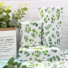QRTDXP 50 * 70cm Large Size Wrapping Paper Sheet with Green Eucalyptus Leaf，5pcs Plant Recyclable Gift Wrap for Birthday Wedding Aniversary for Boys or Girls Father's Day