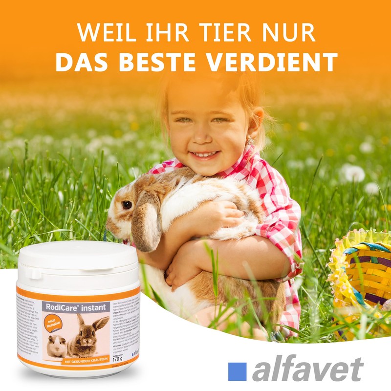 Alfavet Poplar food with healthy herbs