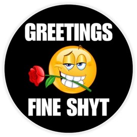 Greetings Fine Shyt - 100 Pack Circle Stickers 3 Inch - Funny Meme Gen Z Alpha Brain Rot Slogan