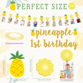 Pineapple 1st Birthday Photo Banner Baby Fruit Pineapple Birthday Photo Banner for Newborn to 12 Months Milestone Photograph Bunting Garland for Baby First Summer Birthday Party Decoration