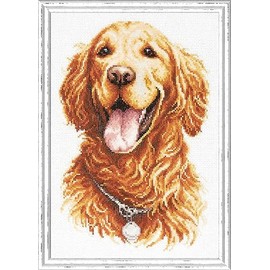 Magic needle 59-24 ZW Golden Retriever Counted Cross Stitch Kit with Zweigart Edition, Cotton, Multi-Colour, 20 x 28 cm