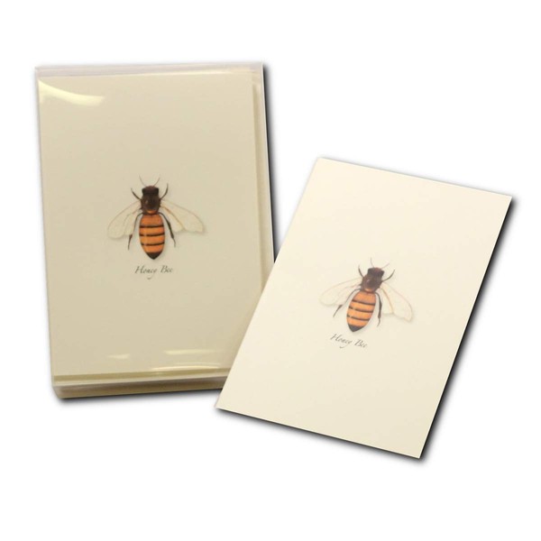 Earth Sky + Water - Honey Bee Notecard Set - 8 Blank Cards with Envelopes