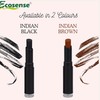 Ecosense Eyebrow Concealer Touch-up in Sleek Black 3 Gm |