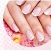 Yuan Quan Lima Sponge Profesional Diferentes Granos 100/120/150/240