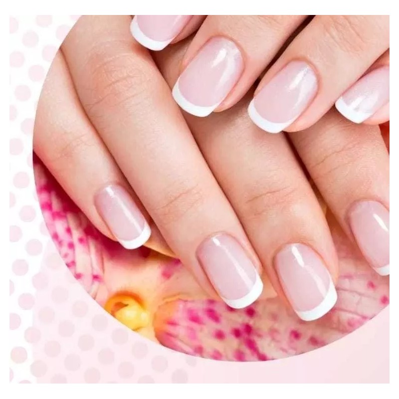 Yuan Quan Lima Sponge Profesional Diferentes Granos 100/120/150/240