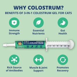 Under the Weather Colostrum Gel for Cats Immune Support Supplement | Salmon Oil & Probiotic Supplement | Natural Allergy Relief, Gut Health & Anti-Inflammatory Formula for Kittens & Senior Cats | 30cc