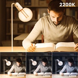 Harwez Large Globe Light Bulb, Vintage Edison Dimmable LED Bulb, 3.5W Low Lumen Eye-Caring Soft Dim Lighting for Mood(Not Daylight White), E26 Medium Base, Giant Round Glass Cover Clear RN G125