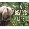A Bear's Life (My Great Bear Rainforest, 2)