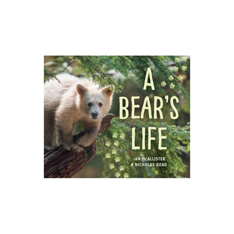 A Bear's Life (My Great Bear Rainforest, 2)
