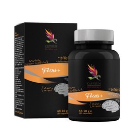 Carnium Botanicals Focus+ - Concentration and Focus Capsules with Vitamins B6, B12 & D Pantothenic Acid to Support Memory and Mental Performance - 60 Capsules