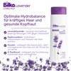 Bilka Collection Lavender & Hyaluronic Hair Shampoo Hydrating Regenerating with