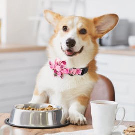 BiPawTi Pink Dog Collar with Bloom Decoration, Soft Floral Dog Collars for Medium Dogs Female, Spring Summer Dog Collar, Cute Flower Dog Collar Girl Female Dogs (Pink, M)