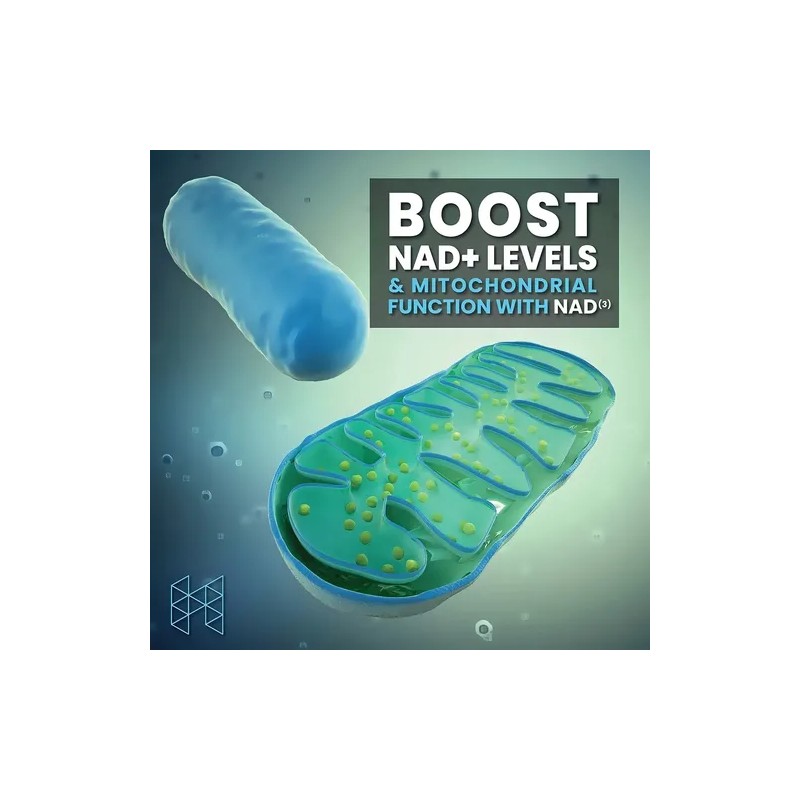 High Performance Nutrition NAD+ Booster 30 Caps Suplemento Vegano Sin