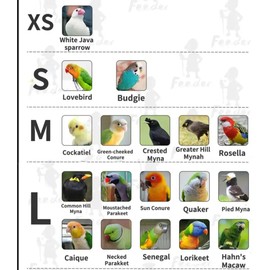 Bird Flight Suits Diapers for Monk Parakeets, Conures, Lovebirds, Cockatiels Flight Suits, Parrot Clothes, Bird Training Nappy Suit Liners Clothes (Medium,Blue-B)