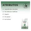 Bio B 3 Pack De 60 Cápsulas Moringa