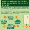Kokuyo No-EK3A Thinning Wood Notebook, Mori-no-oto B5, 30 Sheets, A