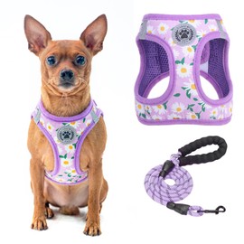 BEAUTYZOO Dog Harness & Leash Set, Slip-Resistant, Body Harness, Pull-Resistant, Handle Attached, Adjustable, Breathable Mesh, Lightweight, Reflective Material, Easy to Put On and Take Off