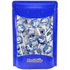 Fruidles Dinosaur Tattoo Lollipop Suckers Candy, Great for Goody Party