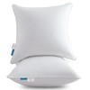 Oubonun 28 x 28 Euro Pillow Inserts with 100% Cotton