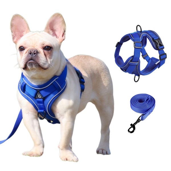 SOLMOONY Small Dog Harness,Soft Mesh Puppy Harness and Leash Set,No