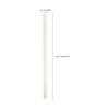 Satco 24 Inch 8W T8 LED Medium Bi Pin Base