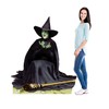 Wicked Witch Melting Standup